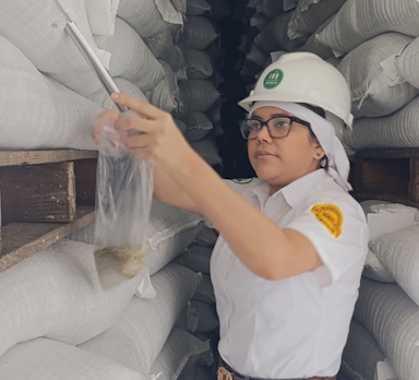 Enfoque Preventivo